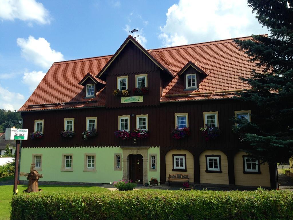 Pension Immergruen Kurort Jonsdorf Exterior photo