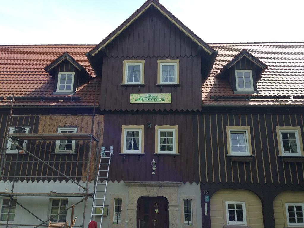 Pension Immergruen Kurort Jonsdorf Exterior photo